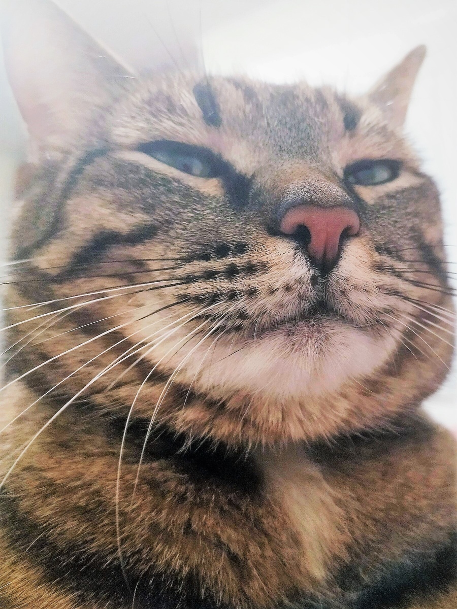 Благодарю за фото Елену Т)