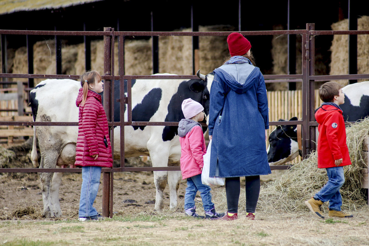 В этом году регион получит 316 млн рублей в рамках нацпроекта «Кадры в АПК».  Фото: Елена Майорова