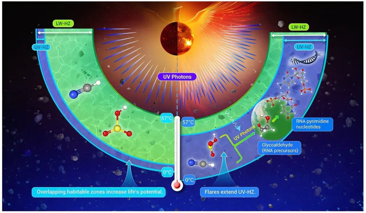    Источник: naked-science.ru Игорь Никольский