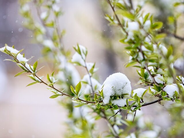    Фото: Москва 24/Лидия Широнина
