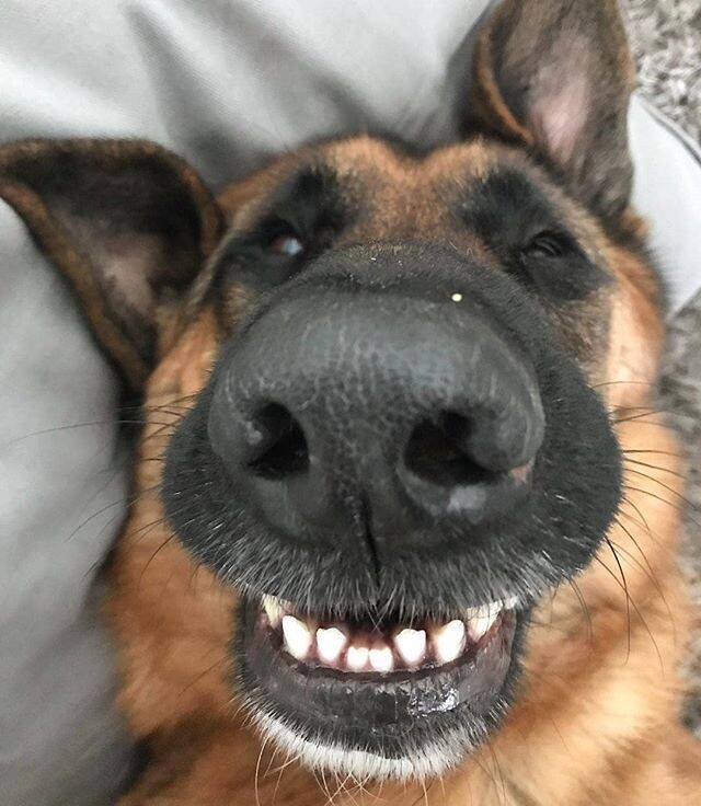 -А мне понравилось!