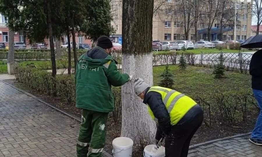 В Рязани благоустроили скверы, спилили аварийные деревья и отремонтировали карусели