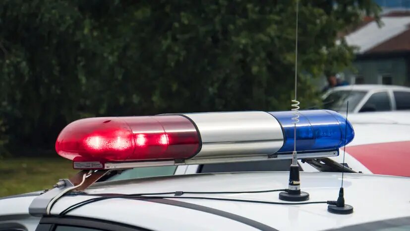    Источник: russian.rt.com Ярослава Мухина