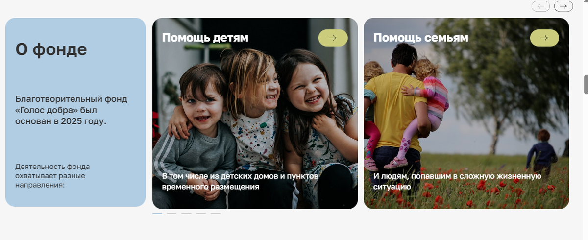 Фонд оказывает помощь детям и семьям с детьми