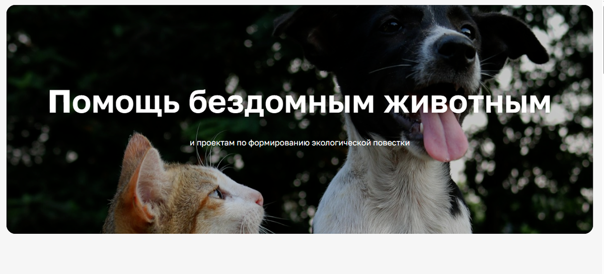 Ведь мы с вами в ответе за тех, кого приручили.