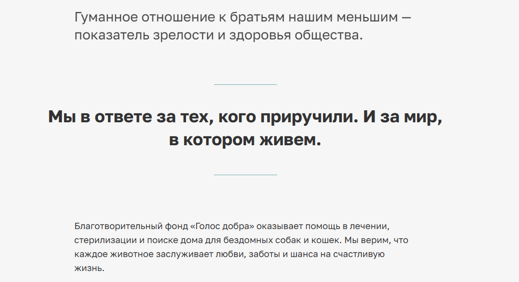 Фото с сайта фонда "Голос добра"