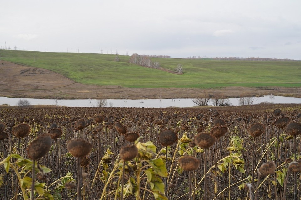    Новый объект должен повысить транспортную доступность районов Светлана МАКОВЕЕВА