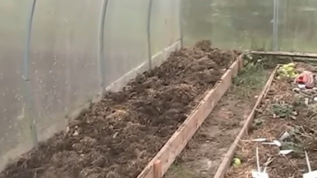 Так выглядит моя теплица за две недели до высадки: чёрная плёнка уже на грядках, термометр показывает, когда земля готова.