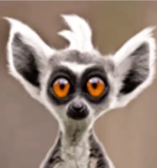 Картинка из свободного источника