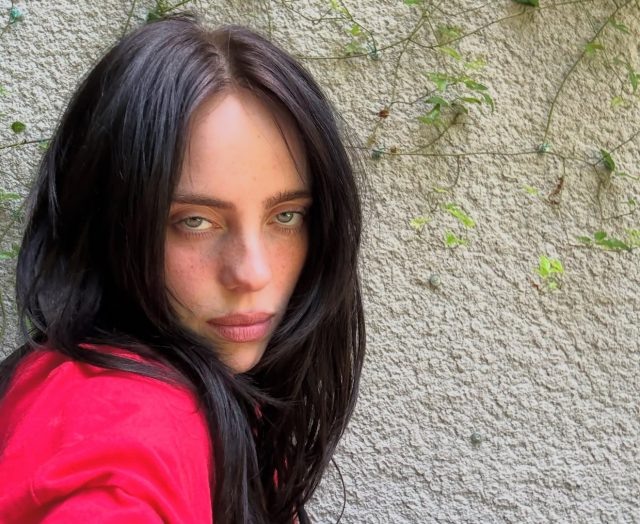    Билли Айлиш. Фото: @billieeilish (Instagram*)