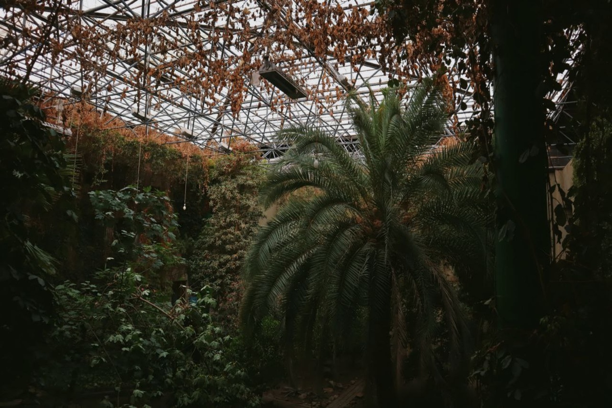 Оазис внутри здания