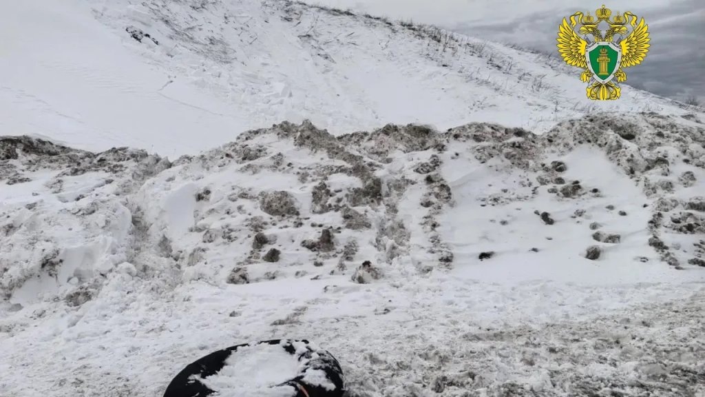    Фото: пресс-служба прокуратуры