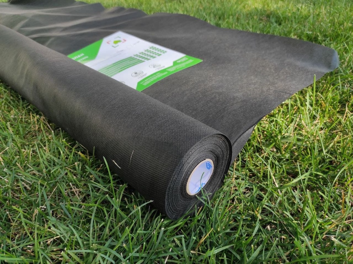 Изображение использовано с Ozon.ru