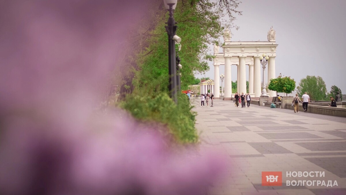    Рассказываем, каким будет май в Волгограде   novostivolgograda.ru