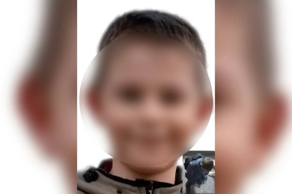    О пропаже заявила его мама. Фото: поисковый отряд «ЛизаАлерт» Новосибирской области