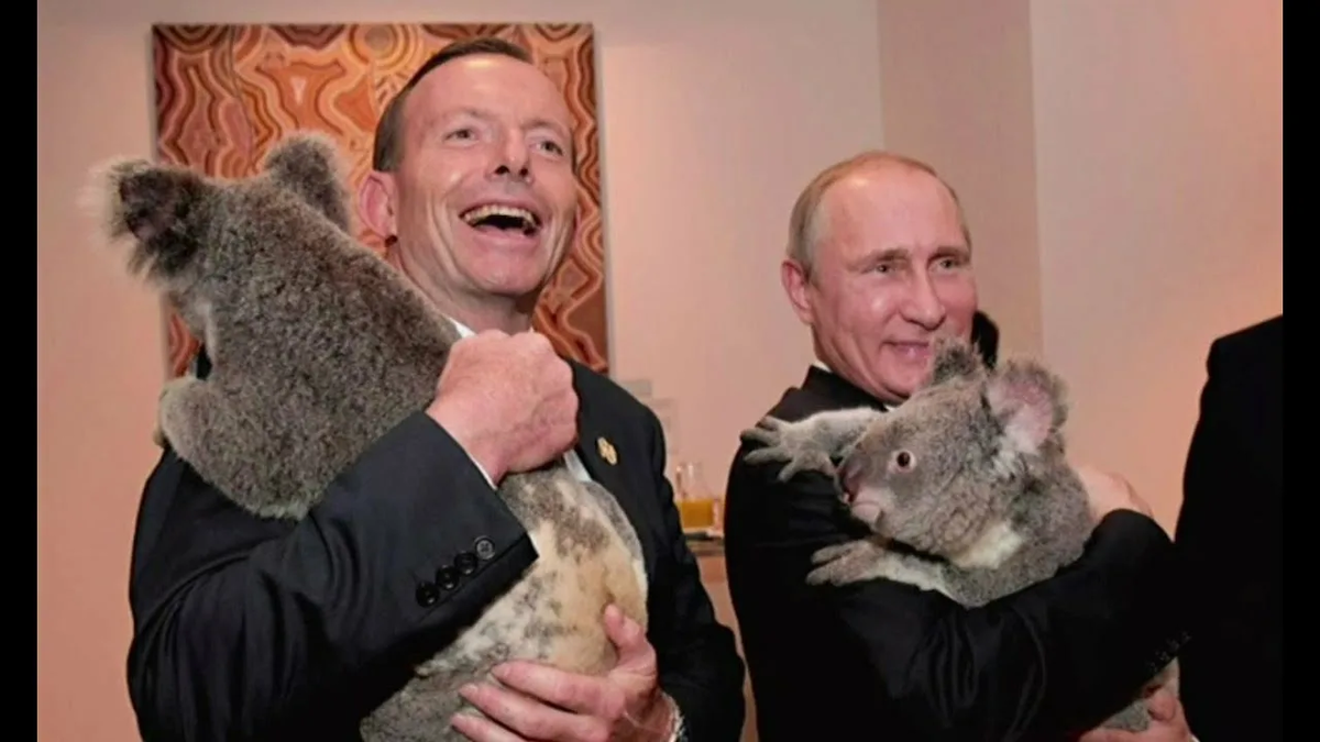 Источник: https://avatars.mds.yandex.net/i?id=16d7b5ff4de22f4f4690dd7c96280645_l-5248827-images-thumbs&n=13