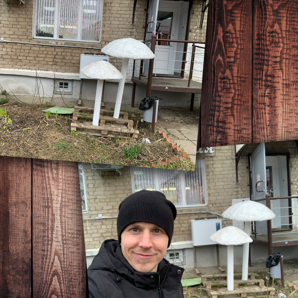 Вот такие грибы встретил на улице =) (Степан Корольков)