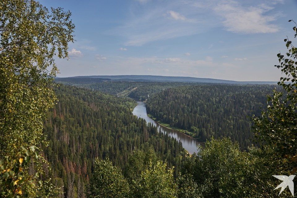    При особом противопожарном режиме запрещается разводить огонь и посещать лес Николай ОБЕРЕМЧЕНКО