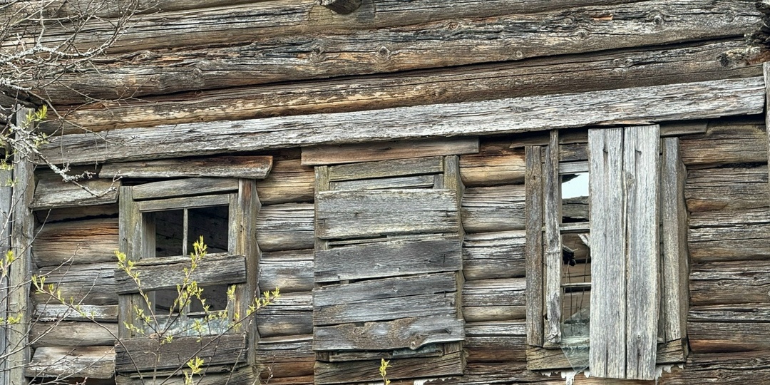 Краеведы прошли 4 километра по следам медведей к заброшенной деревне в Карелии