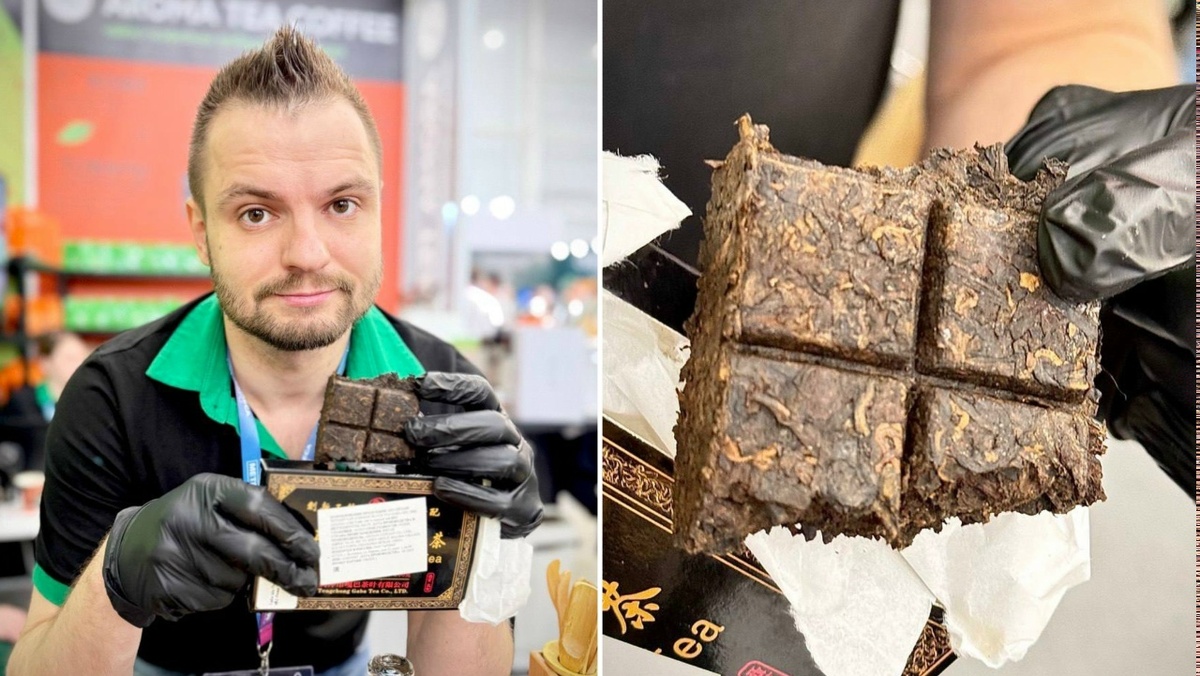 На выаставке Кофе Чай Какао угощали гостей габа пуэром