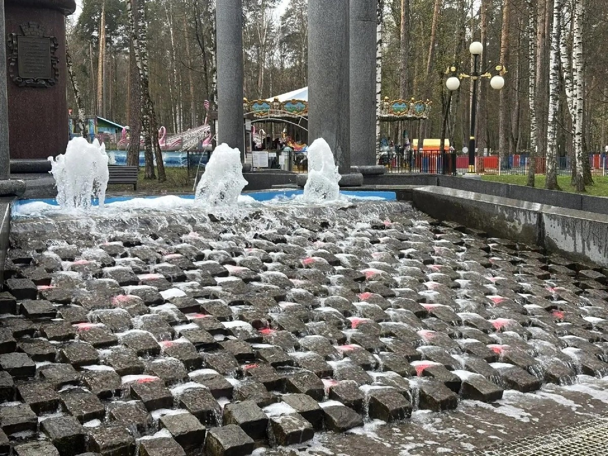    Фото: пресс-служба администрации Богородского г.о.