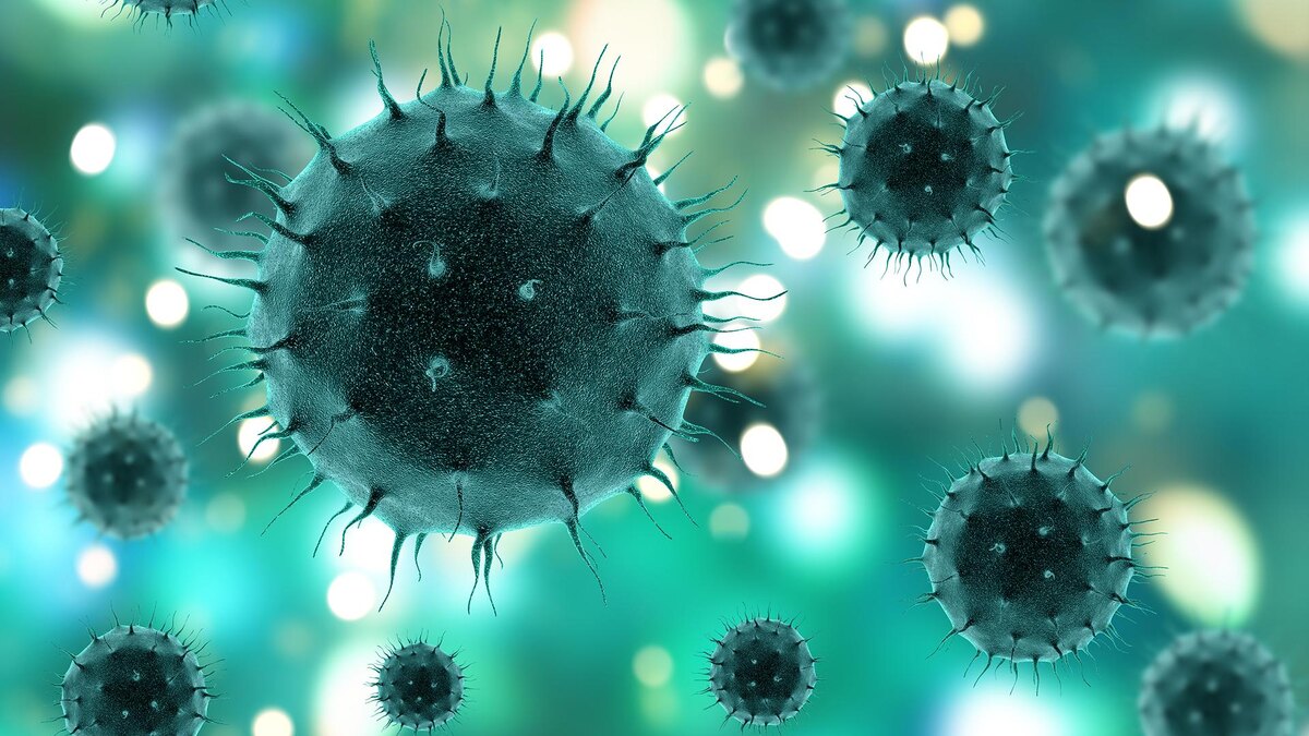 Фото: freepik.com/kjpargeter