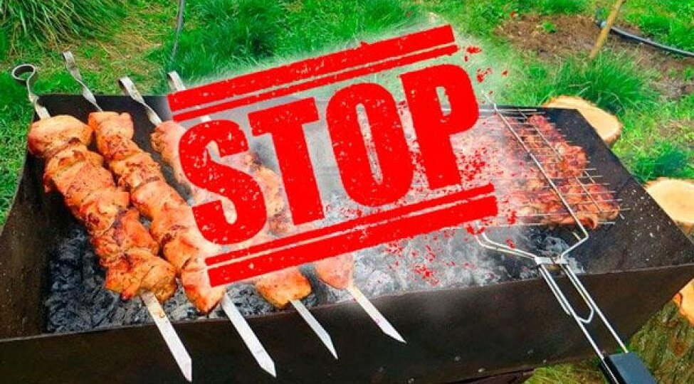 Запрет и штрафы на шашлыки в 2026г