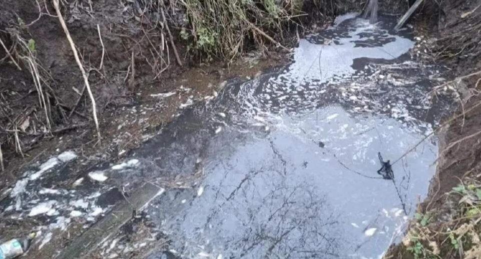 Минэкологии: за сброс сточных вод ТСЖ в Рузе вынесли предупреждение