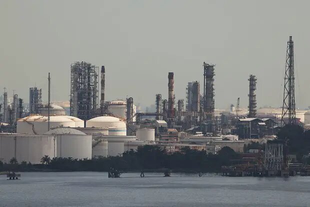    Источник: lenta.ru/ Елена