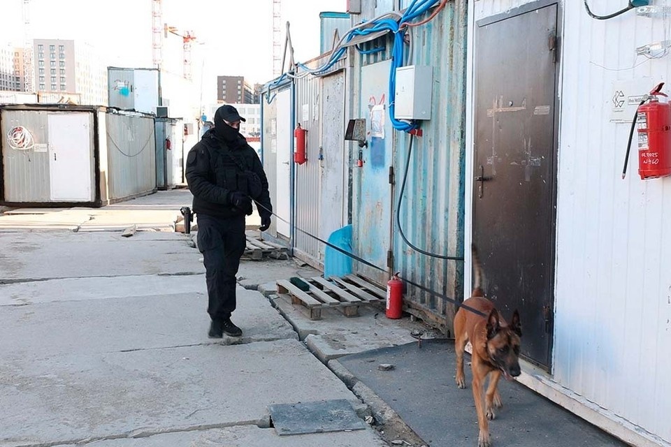    Некоторых иностранцев-нарушителей могут выдворить из России. Фото: Росгвардия по Петербургу и Ленобласти