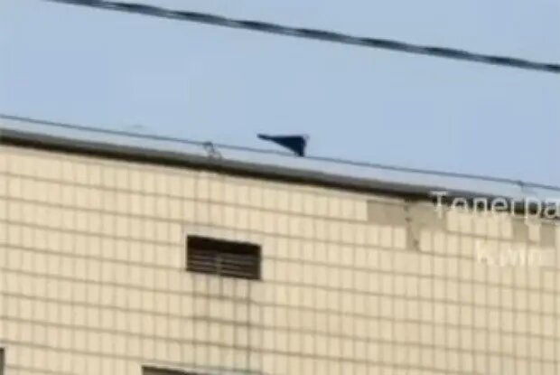    Источник: lenta.ru/ Анна