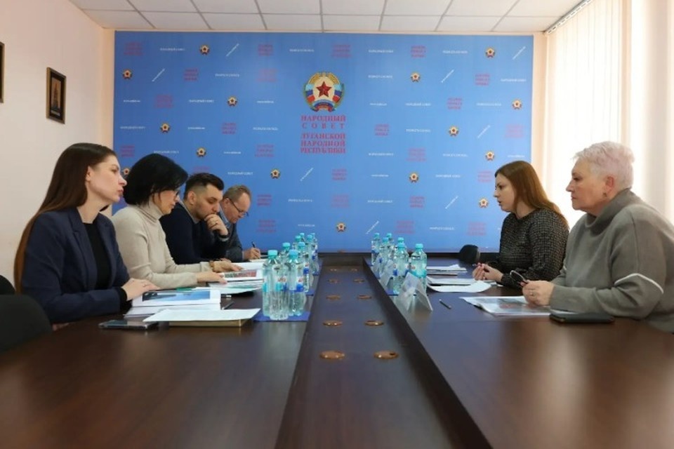    В НС обсудили вопросы сохранения памятников. ФОТО: НС ЛНР