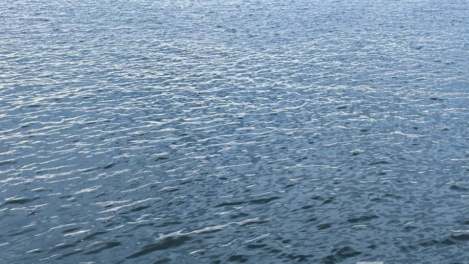 Паводок — 2026: обстановка в Нижегородской области на 24 апреля