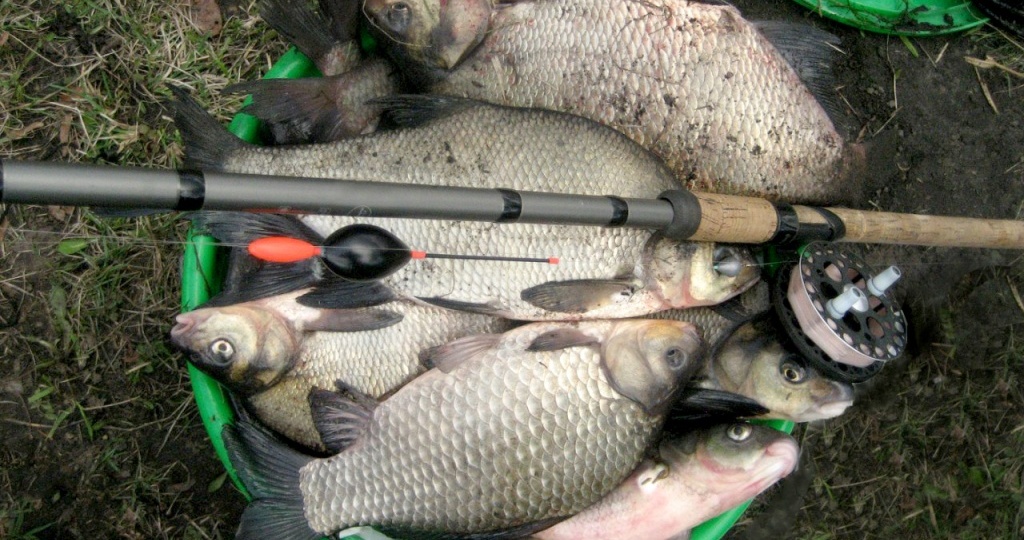 Весенняя рыбалка: секреты успешного улова