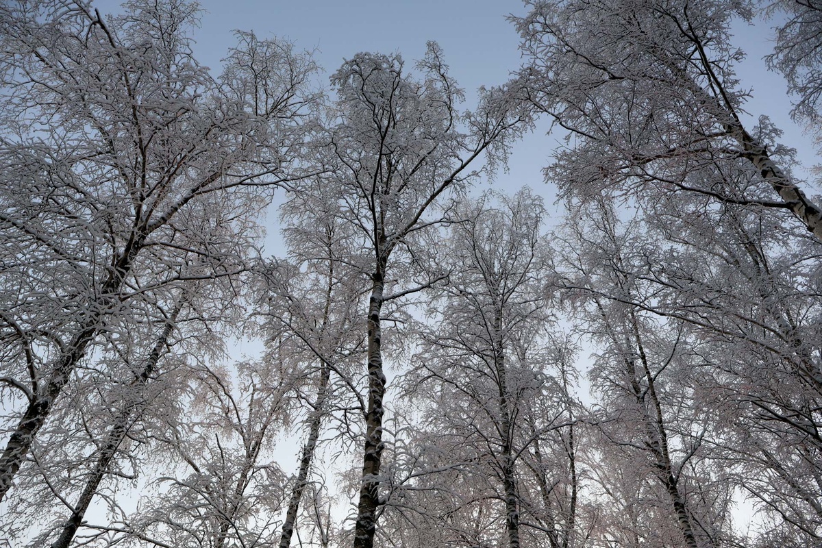 В начале следующей недели на область обрушится сильный снегопад.  Фото: Фото: ФедералПресс / Вера Романескул