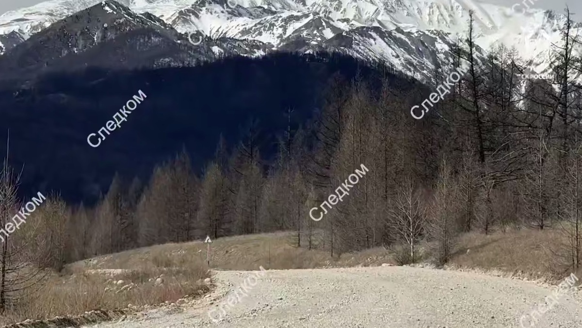    Следственный Комитет РФ