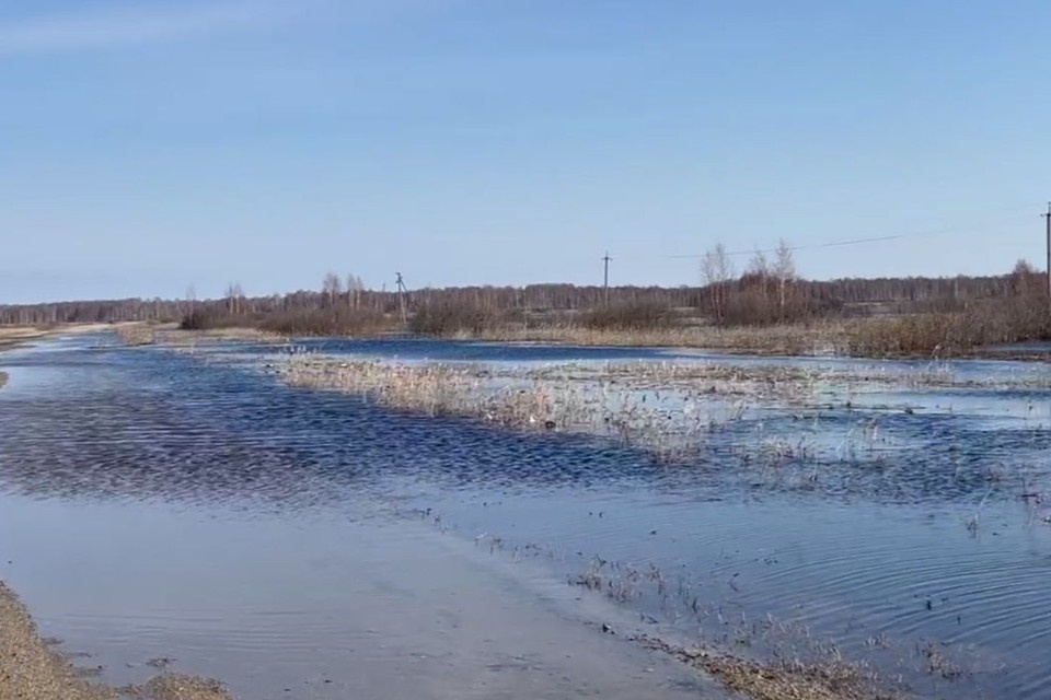    Проезд ограничен на нескольких участках региона. Фото: пресс-служба ТУАД Новосибирской области.
