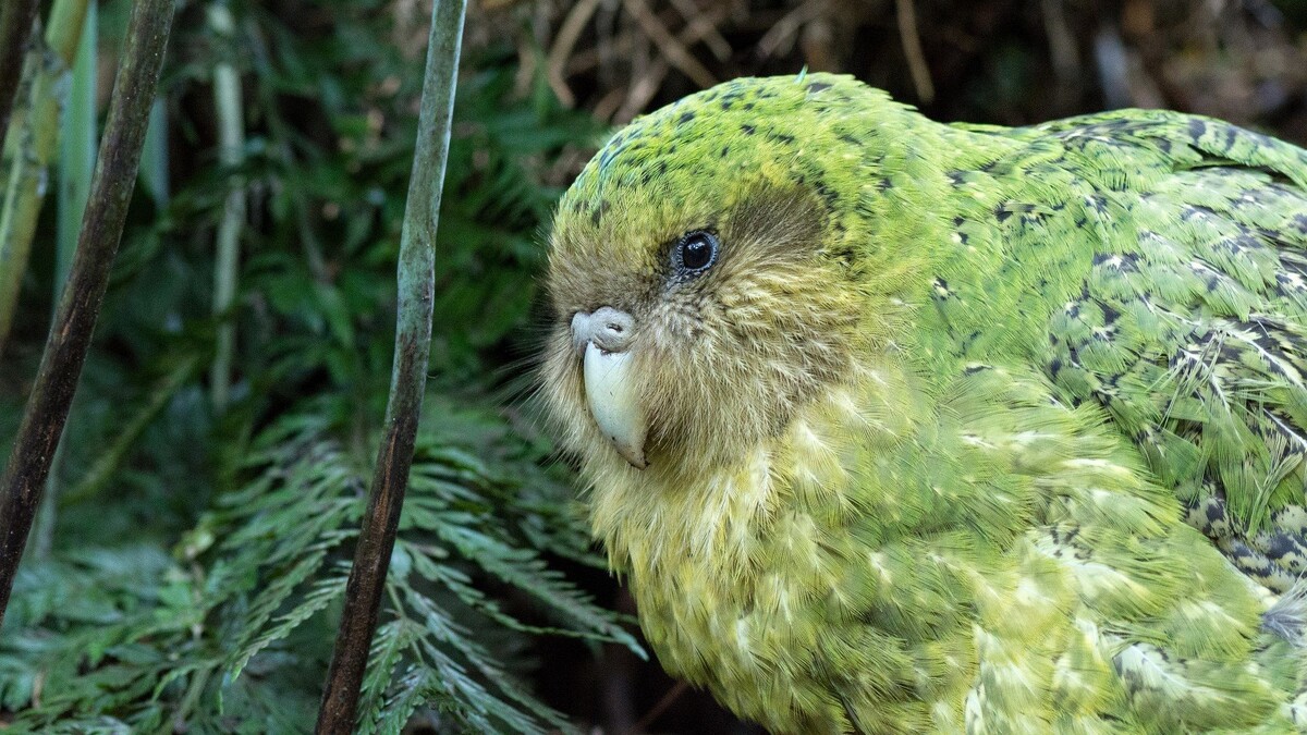 Источник: ru.pinterest.com