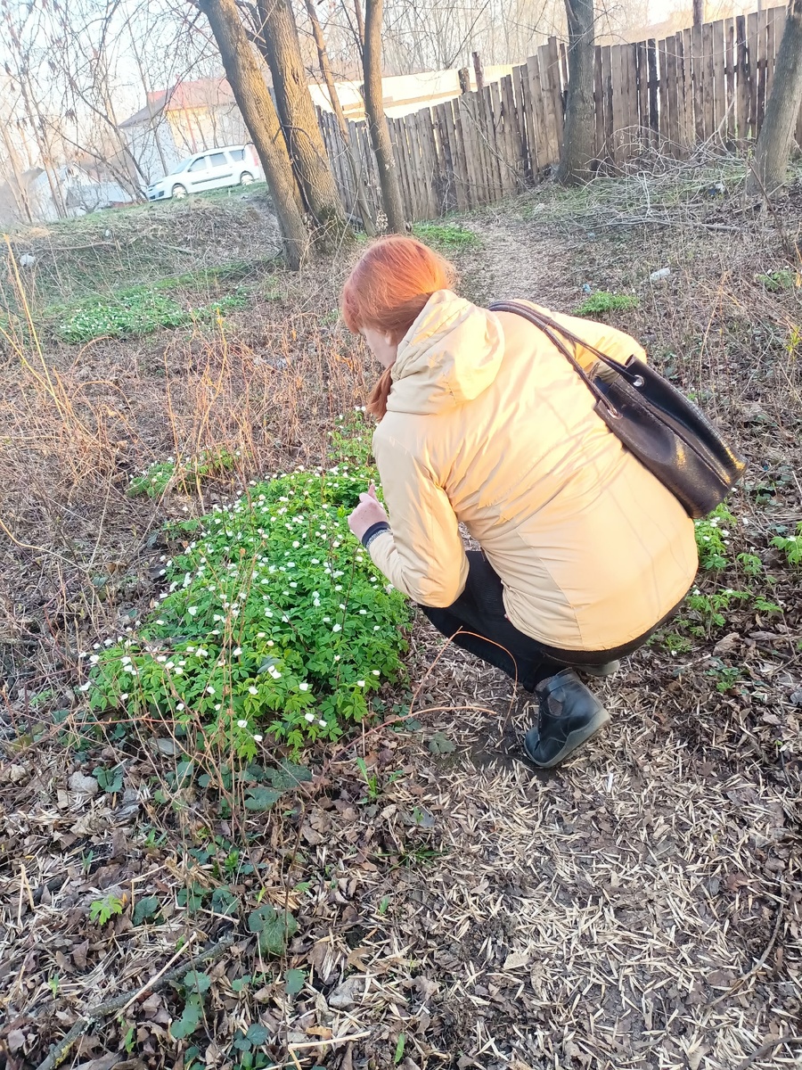 Однажды меня с коллегами подвозил знакомый мужчина. Не мой знакомый! А потом  узнала, что я, оказывается, вылезала из машины, набитой мужиками. В машине нас было четыре женщины и один мужчина - водитель...Так и рождаются сплетни.