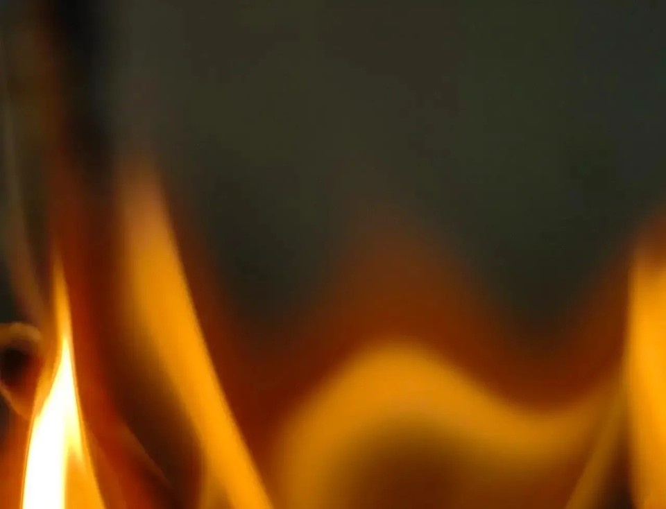    Фото: Ольга Григорьева