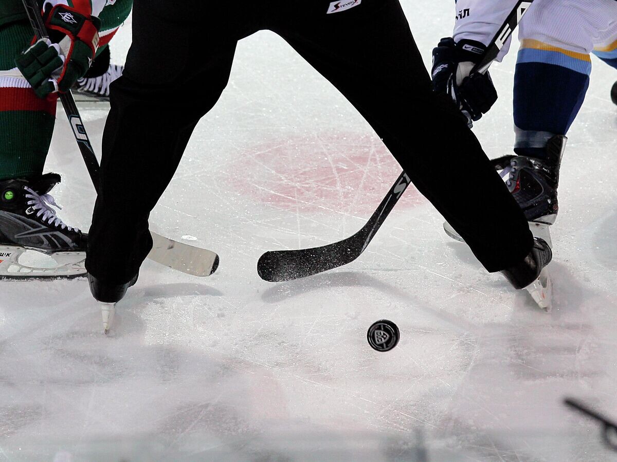    Хоккей | © РИА Новости / Виталий Белоусов