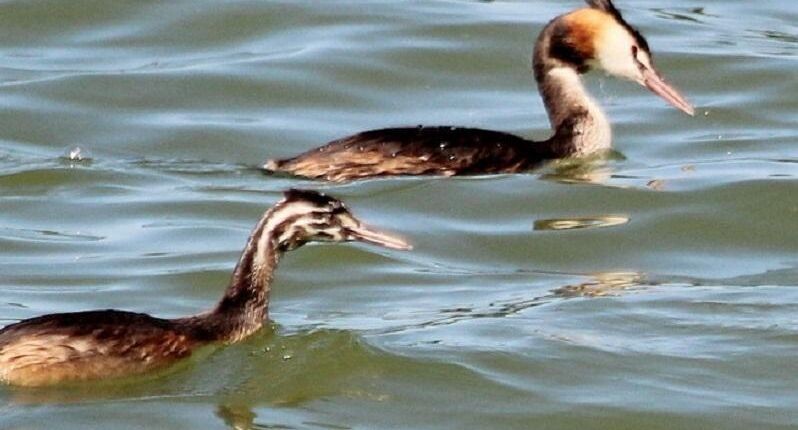    ПФ «Верховье»