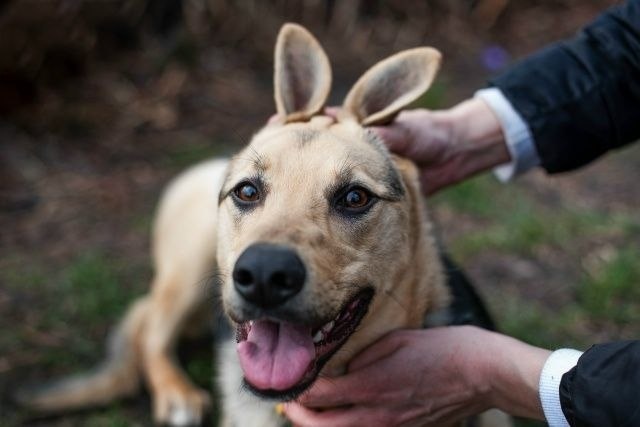 Добрые дела не ждут