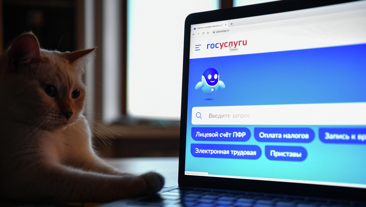    РИА Новости