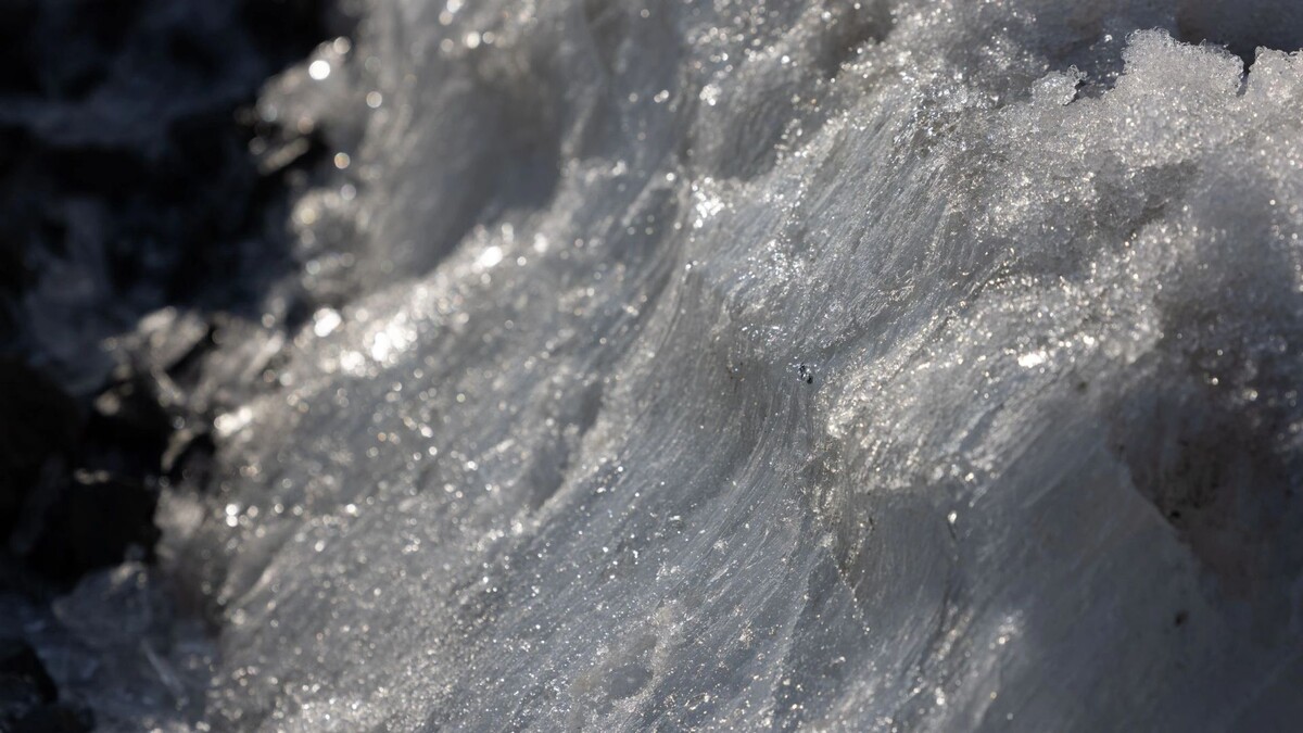    Фото: Сергей Зубков/«Ямал-Медиа»