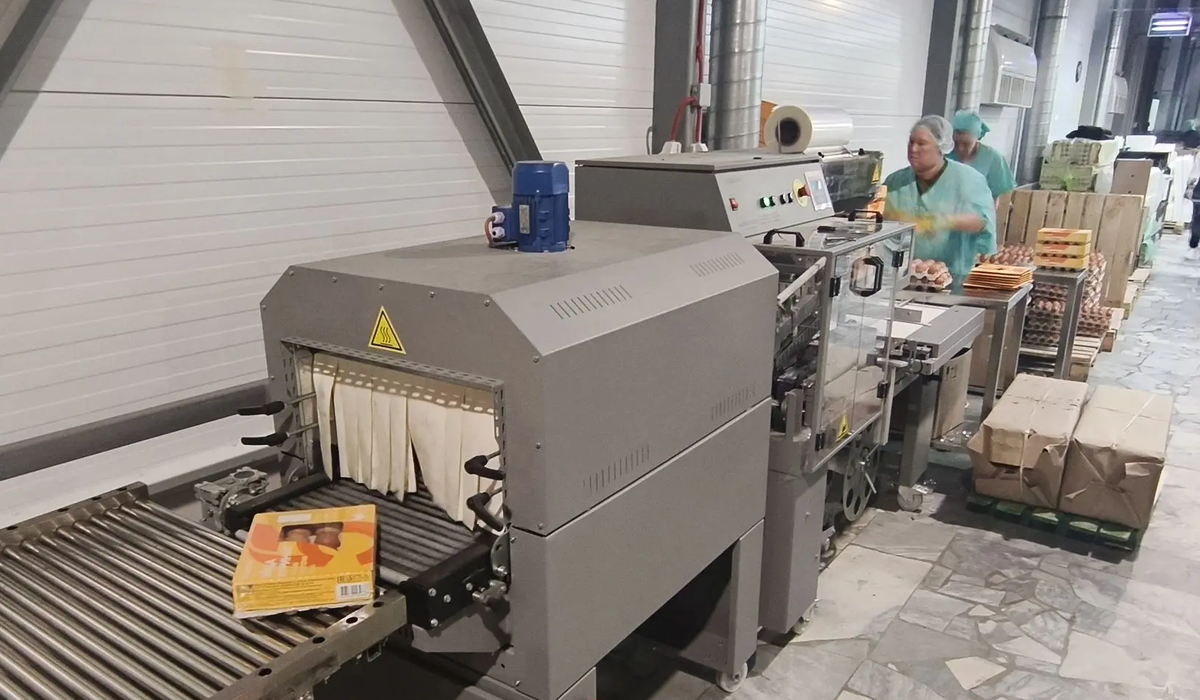    АО "Птицефабрика Чайковская" установило новое оборудование для упаковки яиц