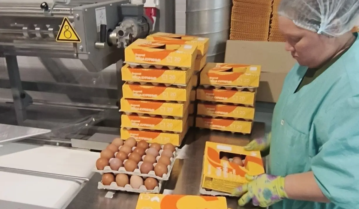    АО "Птицефабрика Чайковская" установило новое оборудование для упаковки яиц