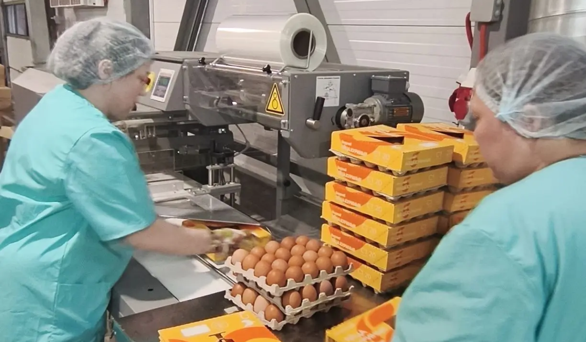    АО "Птицефабрика Чайковская" установило новое оборудование для упаковки яиц