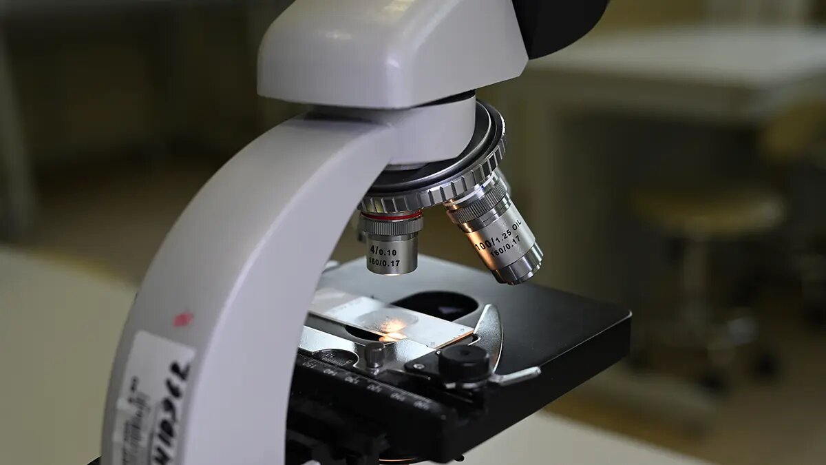    Источник: vm.ru/ Кирилл Громов