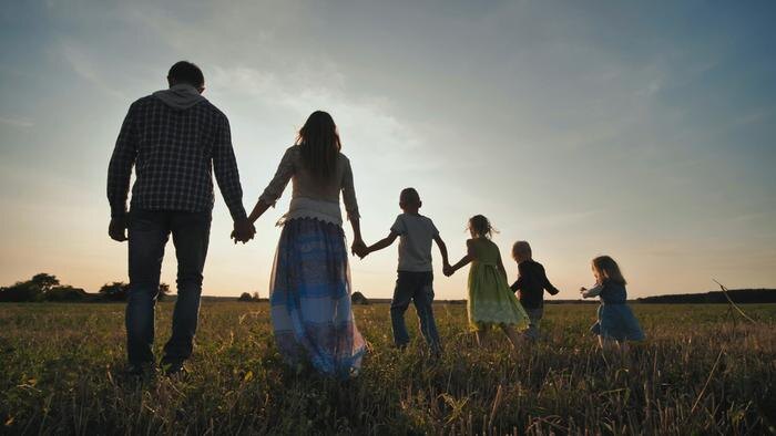 Обложка © Shutterstock / FOTODOM / WorldStockStudio